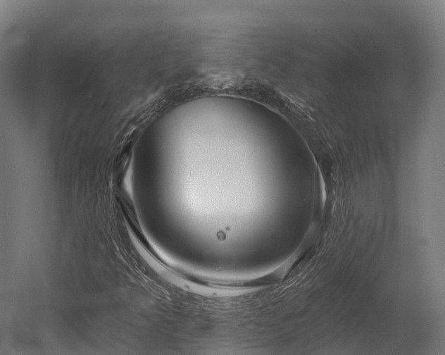 X0000052941349200507151632