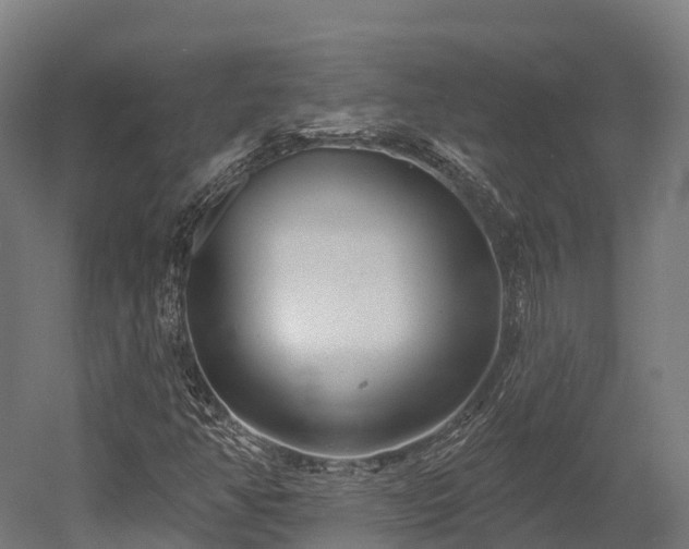 X0000052941350200507151632