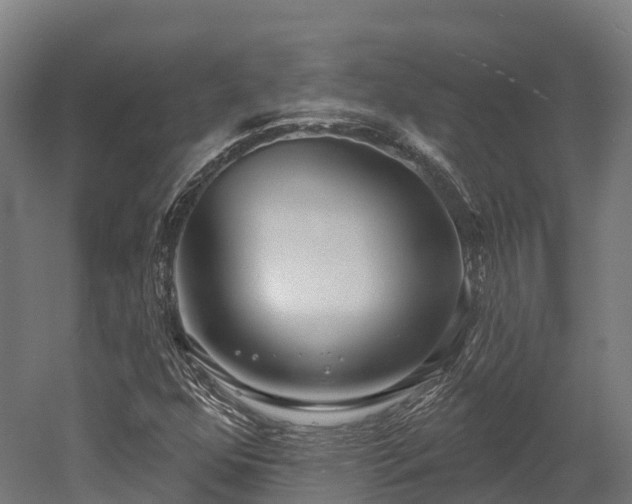 X0000052941352200507151632