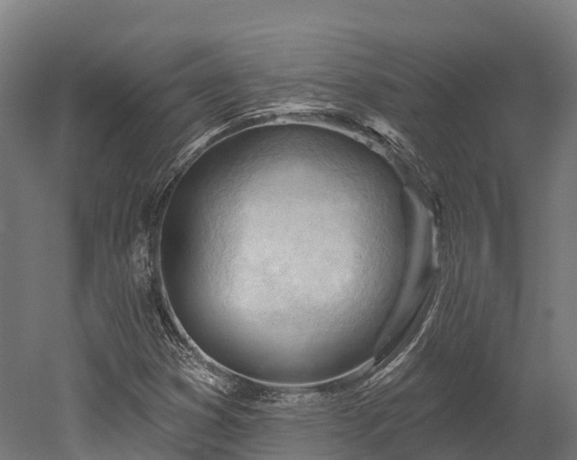 X0000052941353200507151632