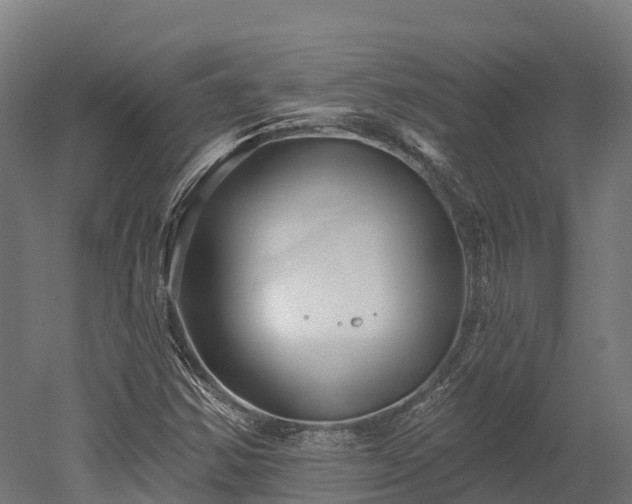 X0000052941354200507151632