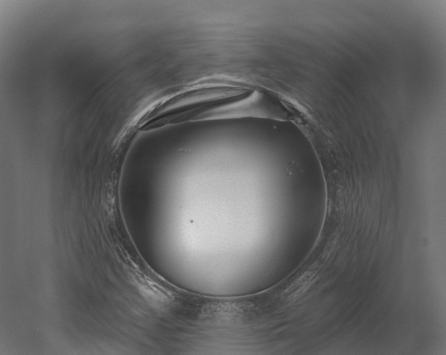 X0000052941355200507151632