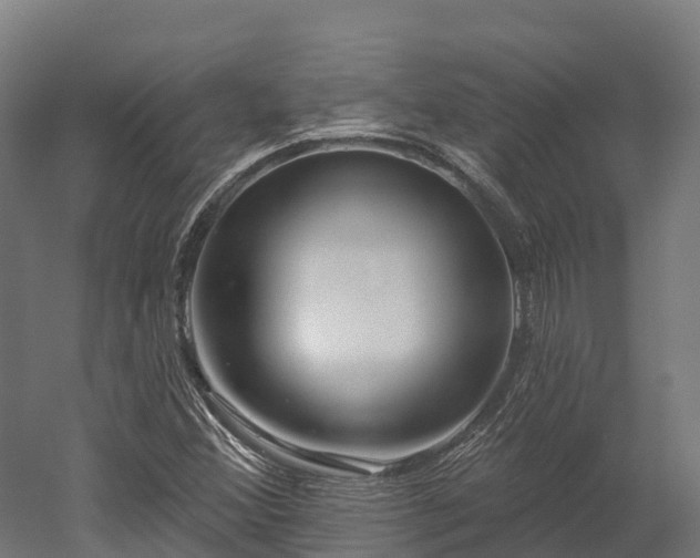 X0000052941356200507151632