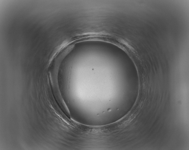 X0000052941357200507151632