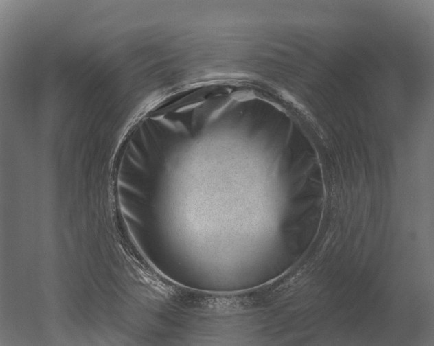 X0000052941362200507151632