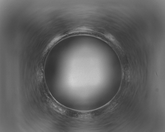 X0000052941363200507151632