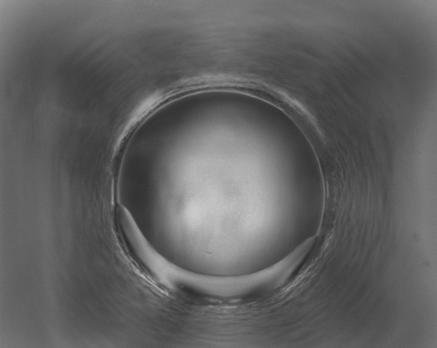 X0000052941365200507151632