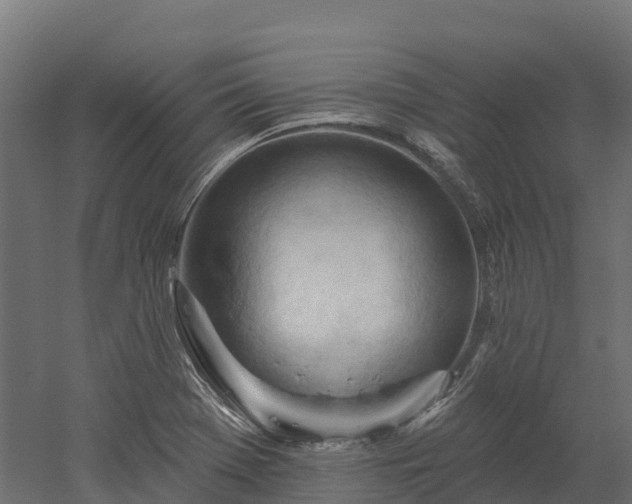 X0000052941369200507151632