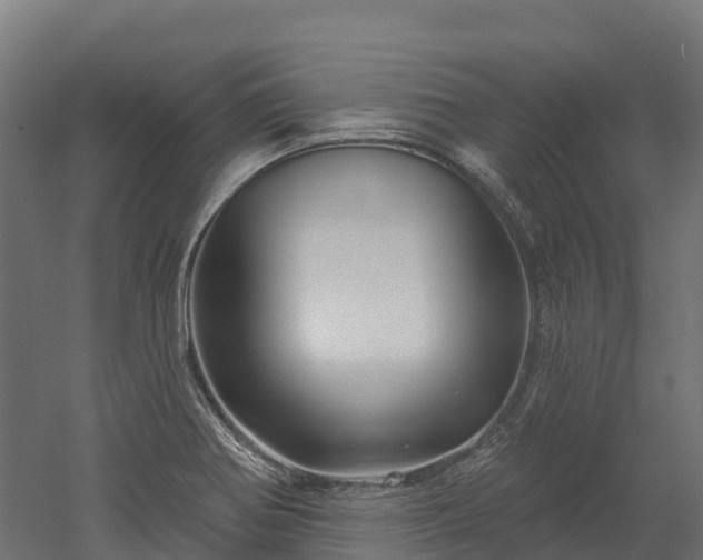 X0000052941370200507151632