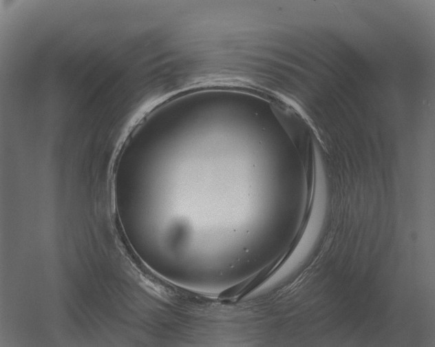 X0000052941371200507151632