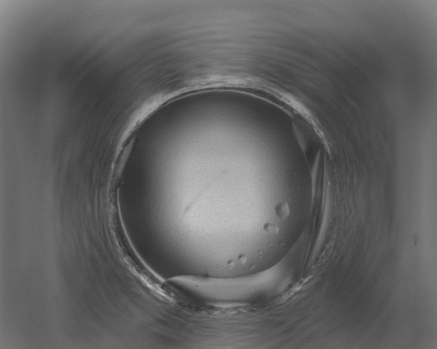 X0000052941373200507151632