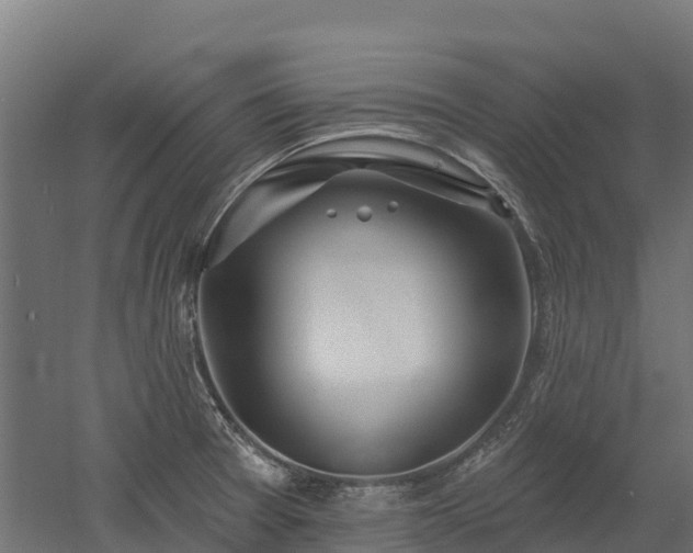 X0000052941377200507151632