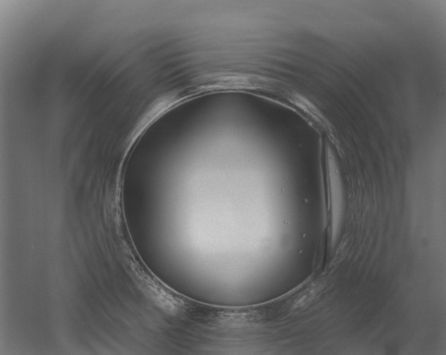 X0000052941378200507151632