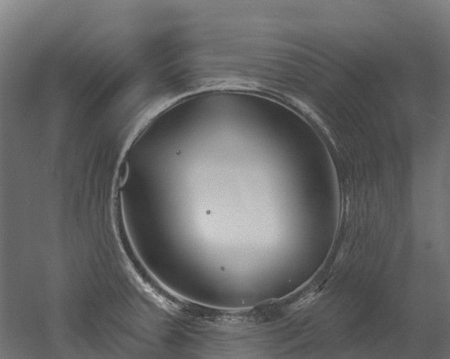 X0000052941379200507151632