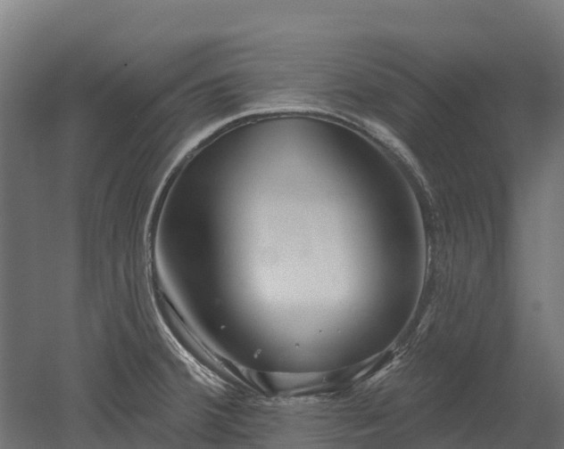 X0000052941380200507151632