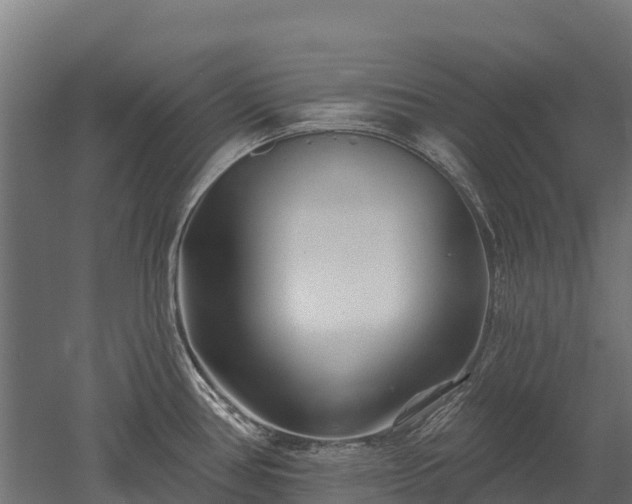 X0000052941386200507151631