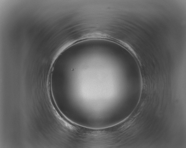 X0000052941387200507151631