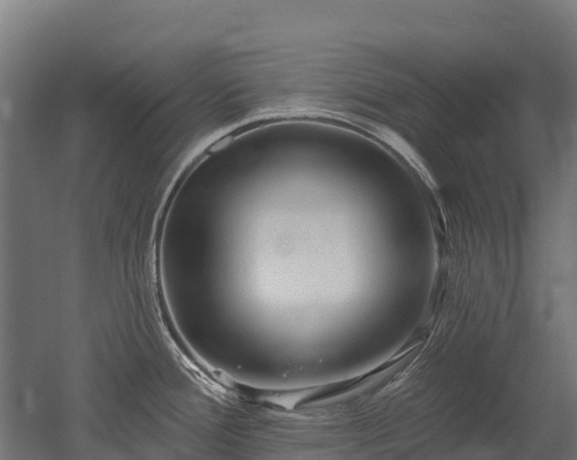 X0000052941388200507151631