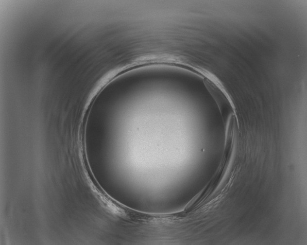 X0000052941389200507151631