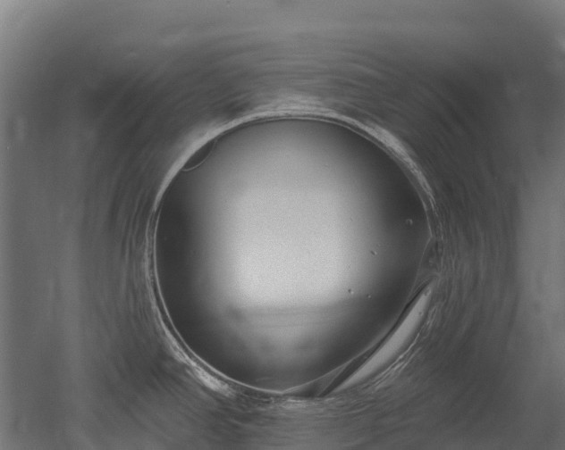 X0000052941390200507151631