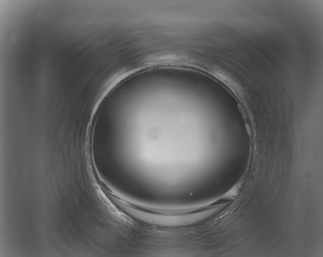 X0000052941392200507151631