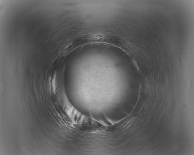 X0000052941394200507151631