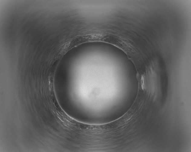 X0000052941395200507151631