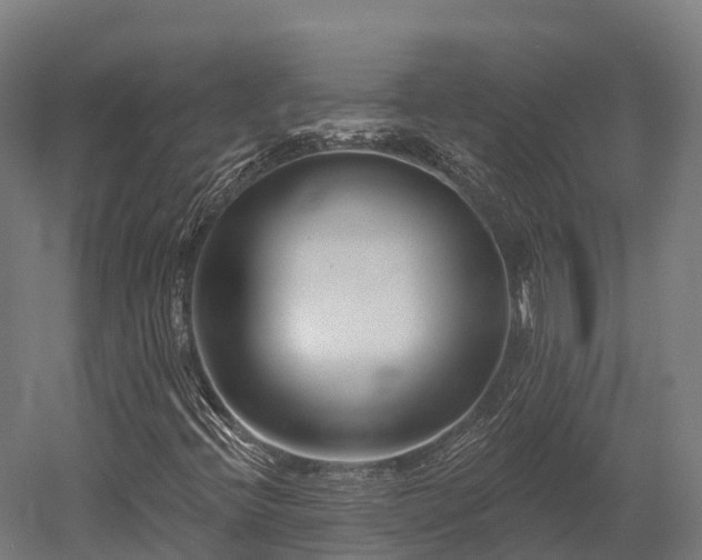 X0000052941396200507151631