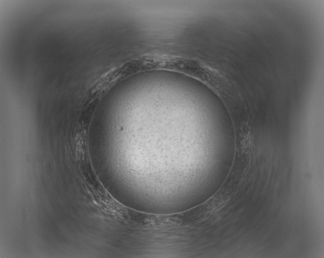 X0000052941397200507151631