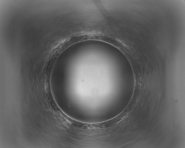 X0000052941398200507151631