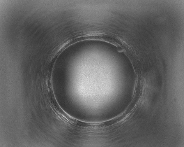 X0000052941401200507151631