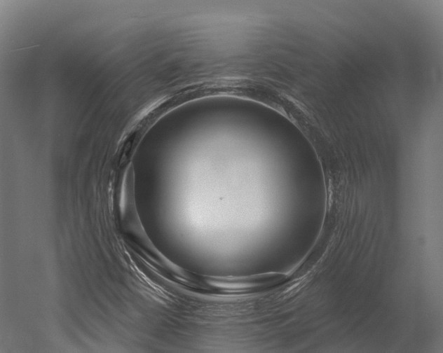 X0000052941402200507151631