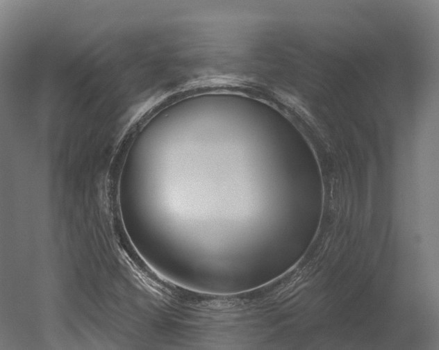 X0000052941404200507151631