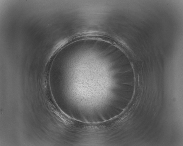 X0000052941405200507151631