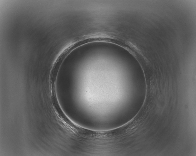 X0000052941408200507151631