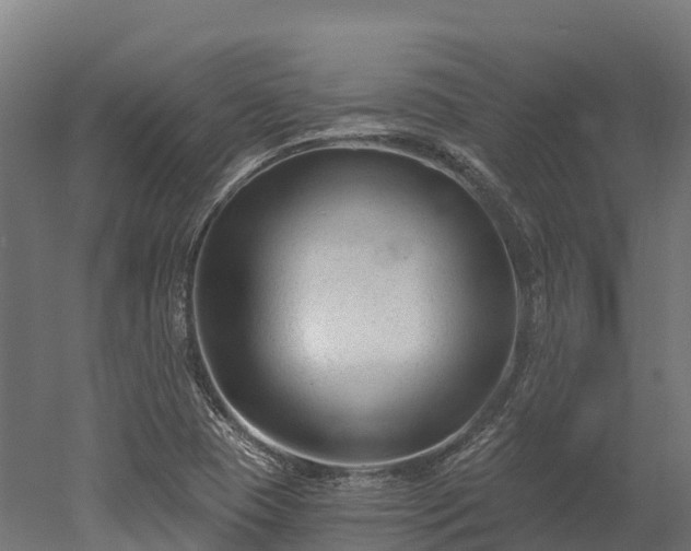 X0000052941409200507151631