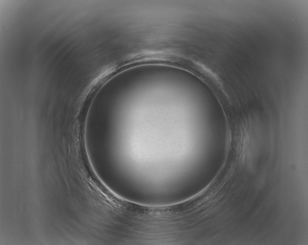 X0000052941411200507151631