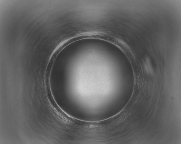 X0000052941412200507151631