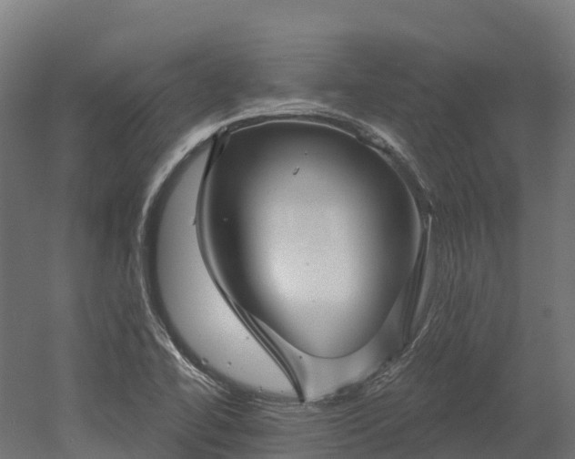 X0000052941414200507151631