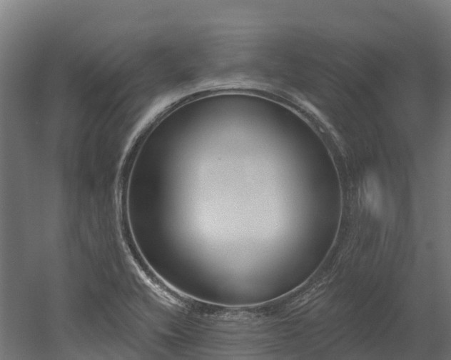 X0000052941416200507151631