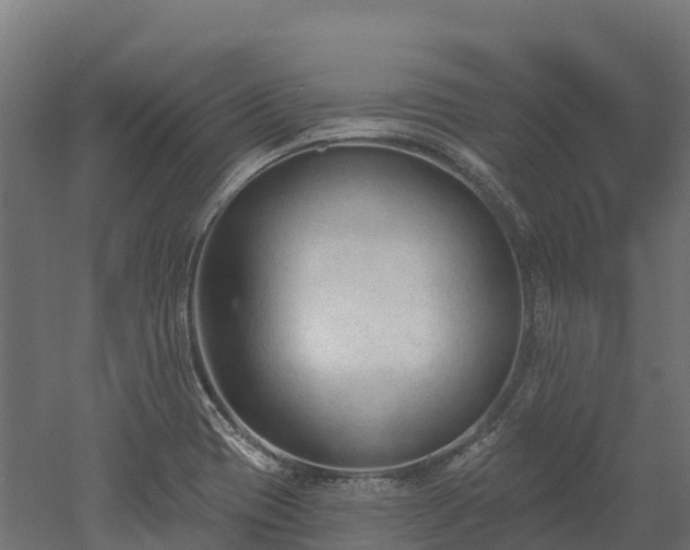 X0000052941417200507151631