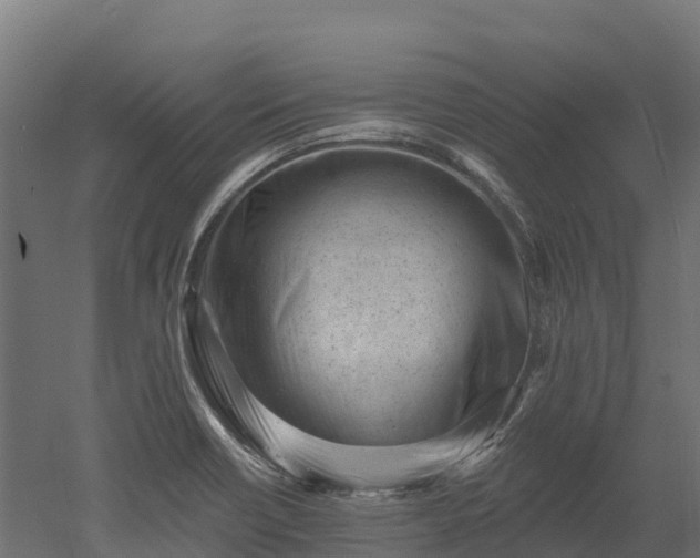 X0000052941418200507151631