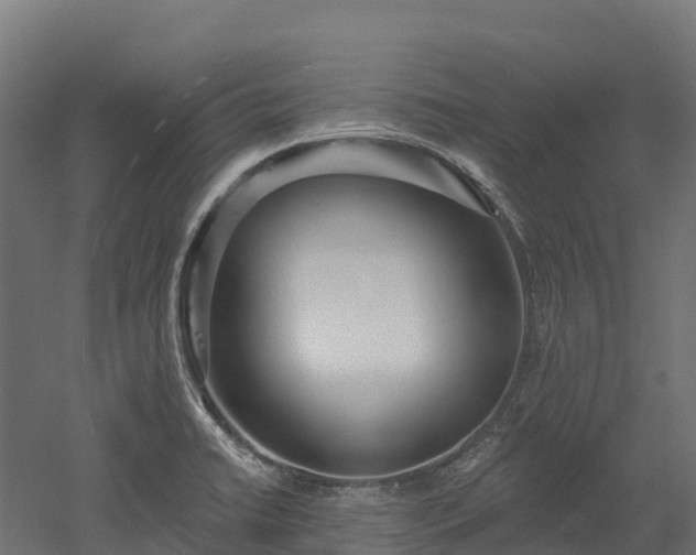 X0000052941422200507151631