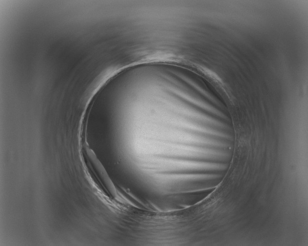 X0000052941423200507151631