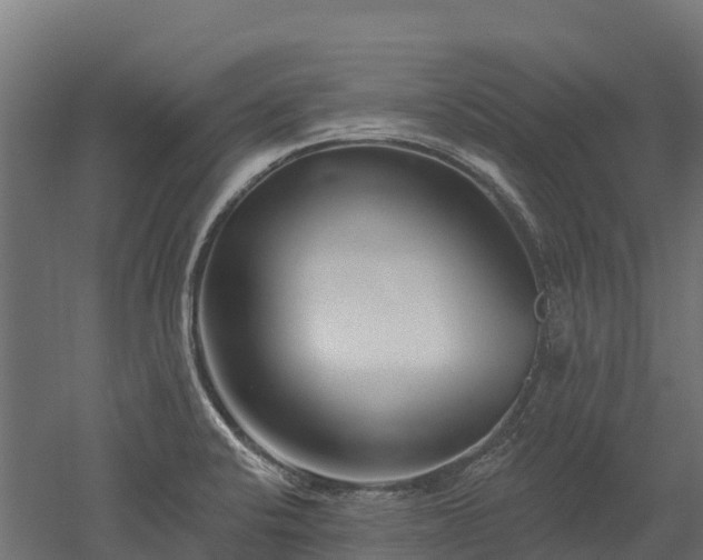 X0000052941424200507151631