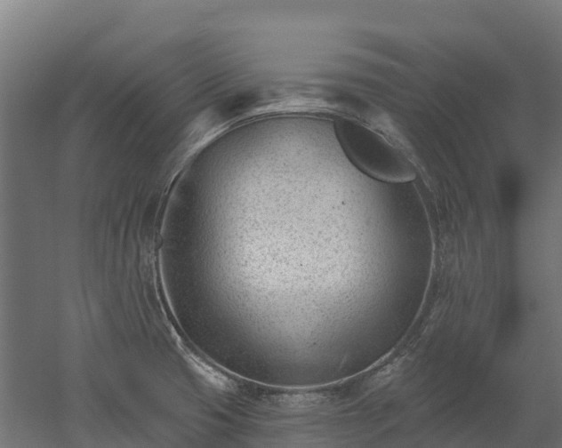 X0000052941425200507151631