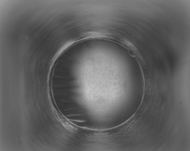 X0000052941427200507151631