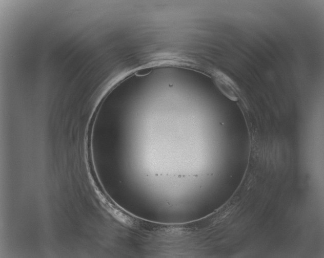 X0000052941431200507151631