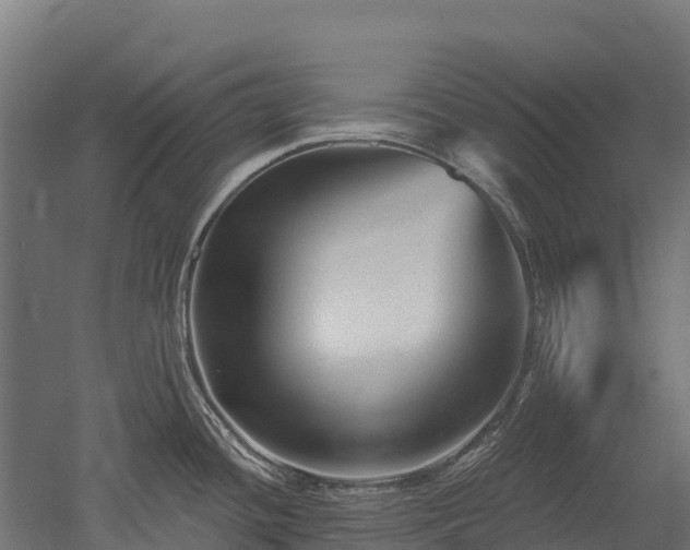 X0000052941436200507151631