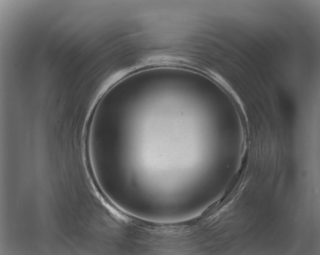 X0000052941437200507151631